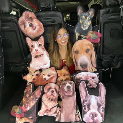 Pet Pillows
