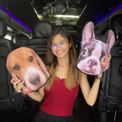 Pet Pillows