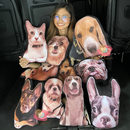 Pet Pillows